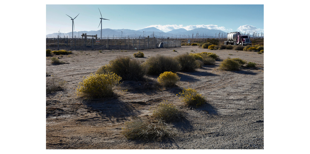 MOJAVE / CALIFORNIA