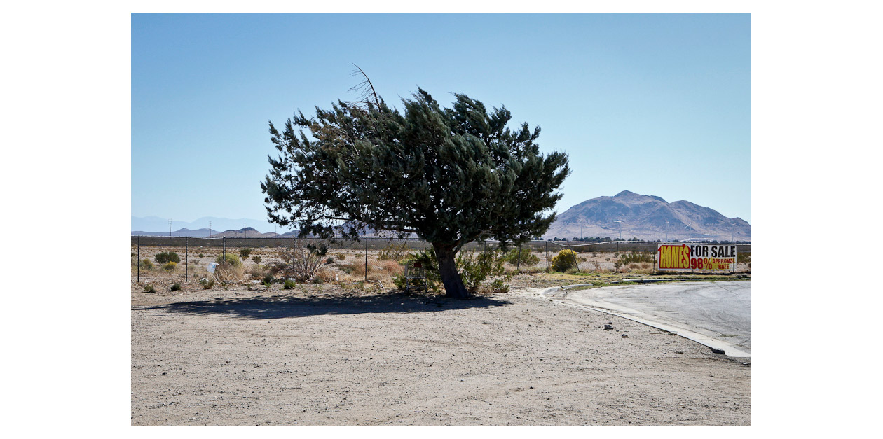 MOJAVE / CALIFORNIA