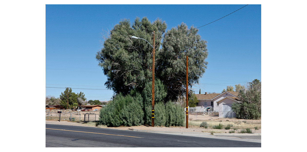 MOJAVE / CALIFORNIA