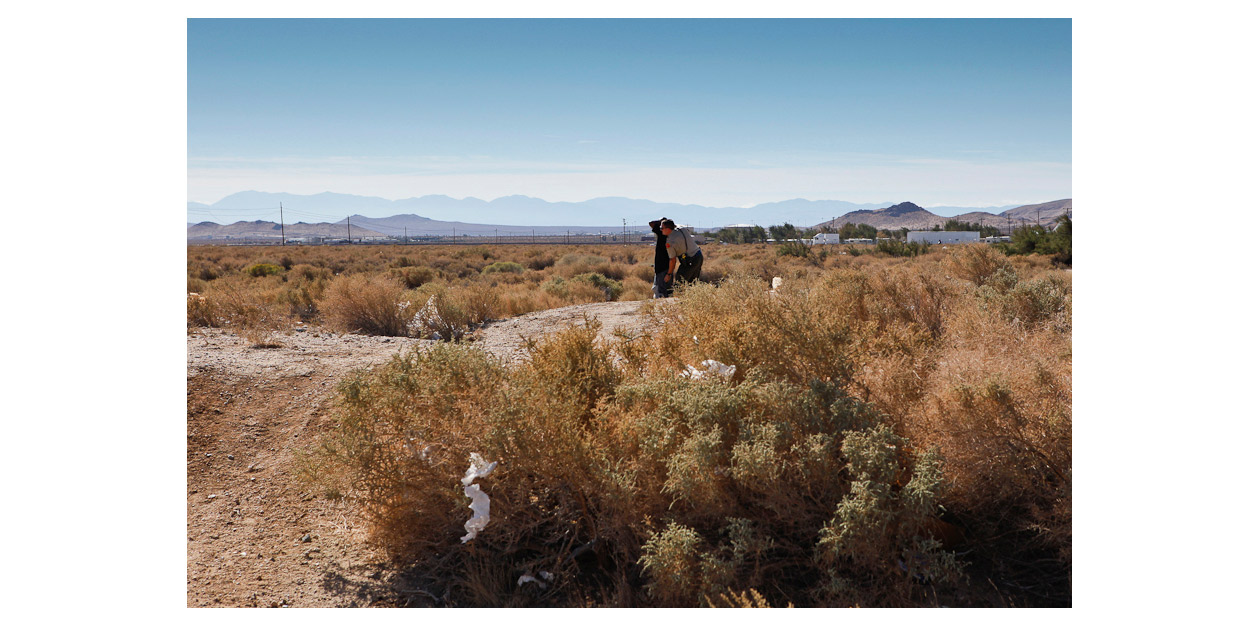 MOJAVE / CALIFORNIA