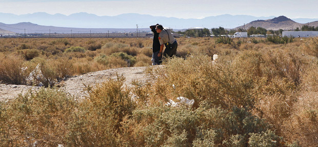 MOJAVE / CALIFORNIA